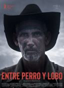 与玩家分享：我在神雕剑侠传中的冒险故事